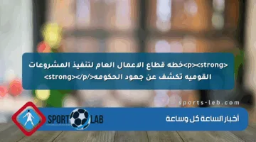 <p><strong>خطة قطاع الأعمال العام لتنفيذ المشروعات القومية تكشف عن جهود الحكومة</strong></p>